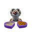 Heart Bowls | Gecko Feeding Dish Calcium Bowl | 2 Pack - Wild Pet Supply