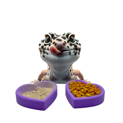 Heart Bowls | Gecko Feeding Dish Calcium Bowl | 2 Pack - Wild Pet Supply