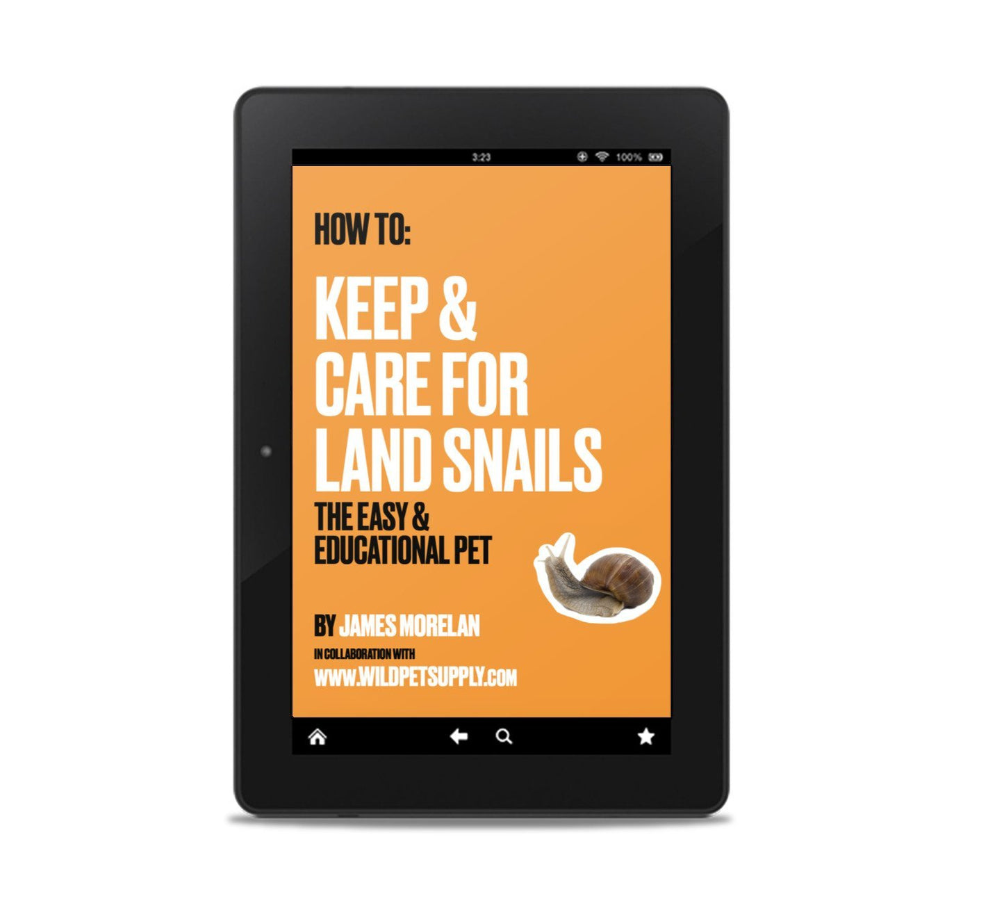 How To: Keep & Care for Land Snails | The Easy & Educational Pet - Wild Pet Supply