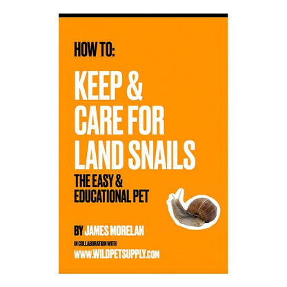 How To: Keep & Care for Land Snails | The Easy & Educational Pet - Wild Pet Supply