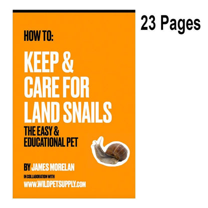 How To: Keep & Care for Land Snails | The Easy & Educational Pet - Wild Pet Supply