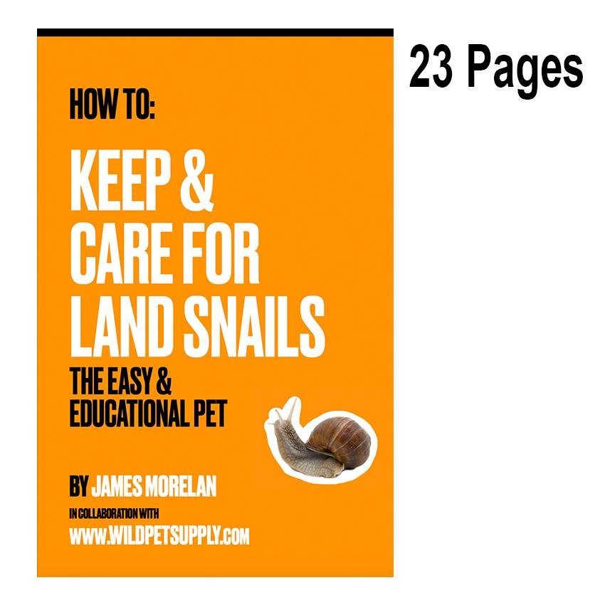 How To: Keep & Care for Land Snails | The Easy & Educational Pet - Wild Pet Supply