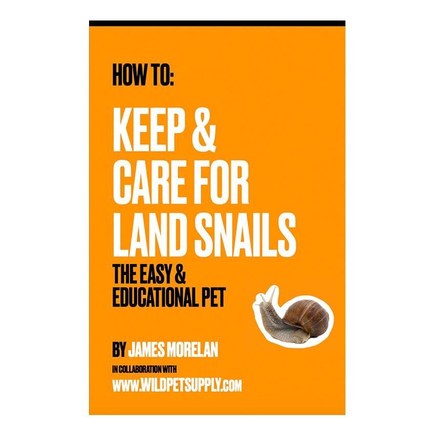How To: Keep & Care for Land Snails | The Easy & Educational Pet - Wild Pet Supply