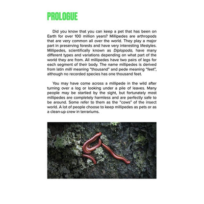 How To: Keep & Care for Millipedes | The Easy & Educational Pet - Wild Pet Supply