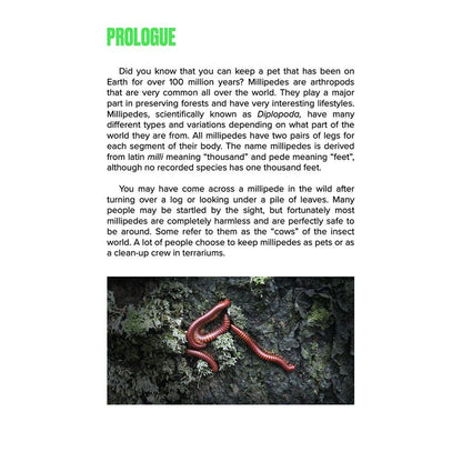 How To: Keep & Care for Millipedes | The Easy & Educational Pet - Wild Pet Supply