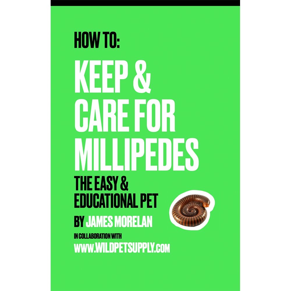 How To: Keep & Care for Millipedes | The Easy & Educational Pet - Wild Pet Supply