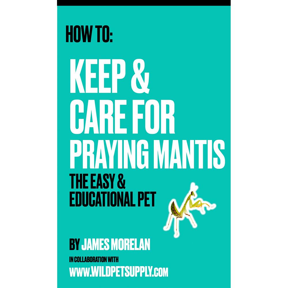 How To: Keep & Care for Praying Mantis | The Easy & Educational Pet - Wild Pet Supply
