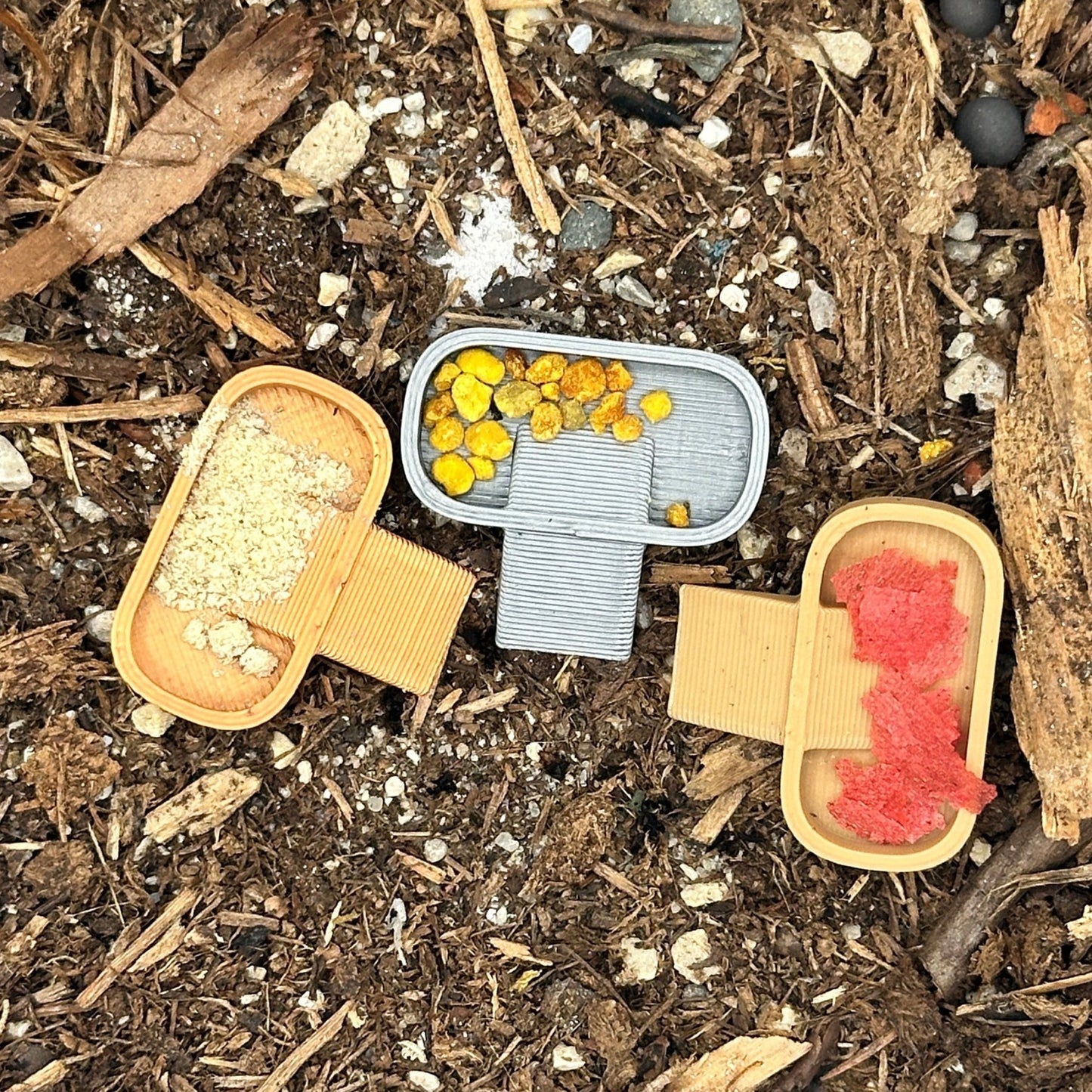 Isopod Feeding Dish – 10 Pack Food Trays - Wild Pet Supply