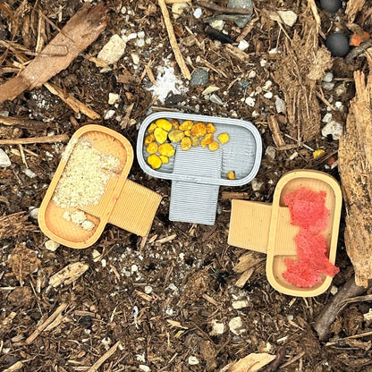 Isopod Feeding Dish – 10 Pack Food Trays - Wild Pet Supply