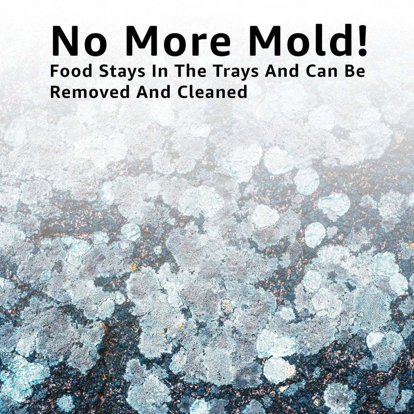 Isopod Feeding Dish – 10 Pack Food Trays - Wild Pet Supply