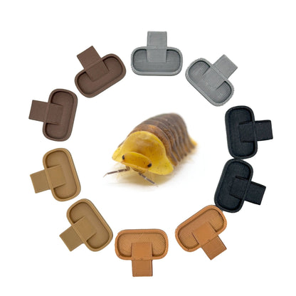 Isopod Feeding Dish – 10 Pack Food Trays - Wild Pet Supply