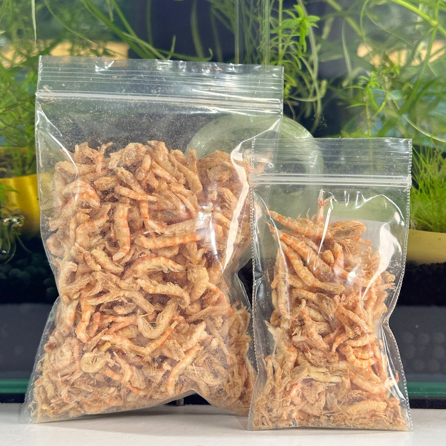 Isopod Freeze Dried Krill & Shrimp Snack | Isopod Food Treat - Wild Pet Supply