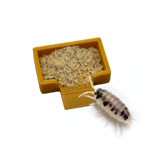 Isopod Micro Feeding Trays | Isopod Feeding Dish with Ramp - Wild Pet Supply