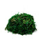 Lush Mossy Frog Hide Cave | Dart Frog Natural Hide - Wild Pet Supply