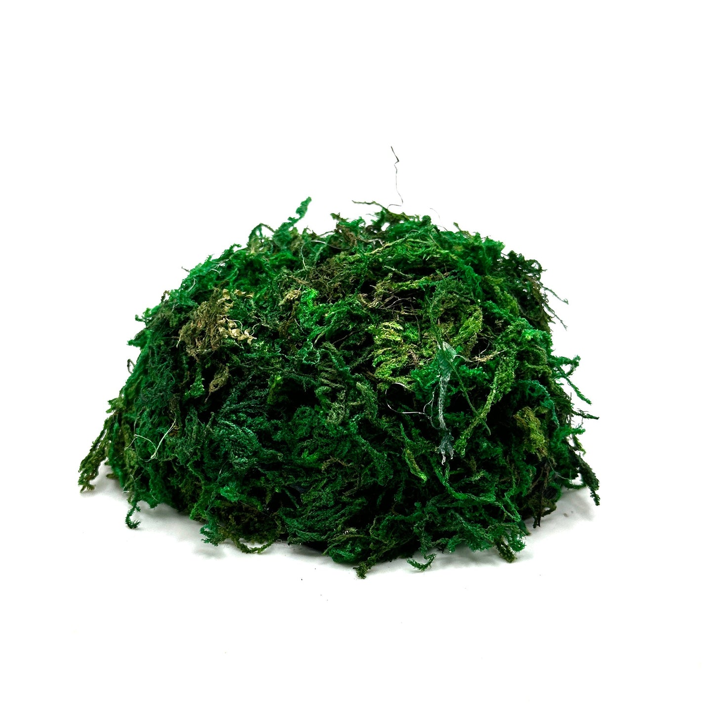 Lush Mossy Frog Hide Cave | Dart Frog Natural Hide - Wild Pet Supply