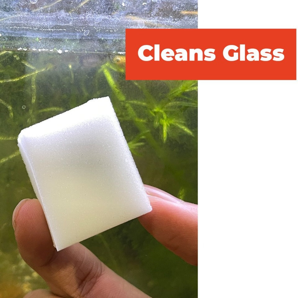 Micro Cleans | Aquarium/Terrarium Glass Cleaning Cubes - Wild Pet Supply