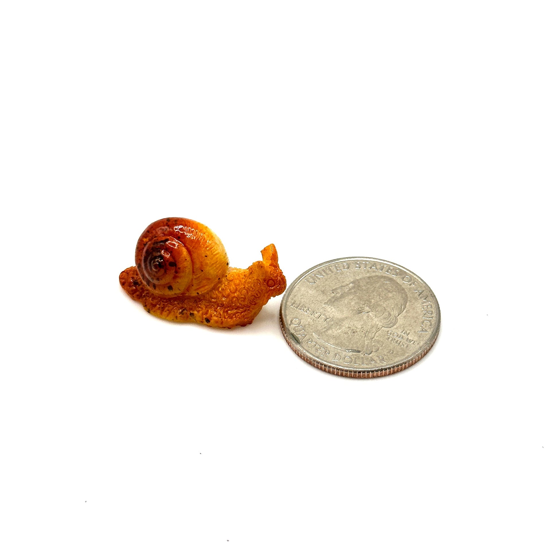 Nano Snail | Terrarium Ceramic Decor | Gecko Safe Decor - Wild Pet Supply