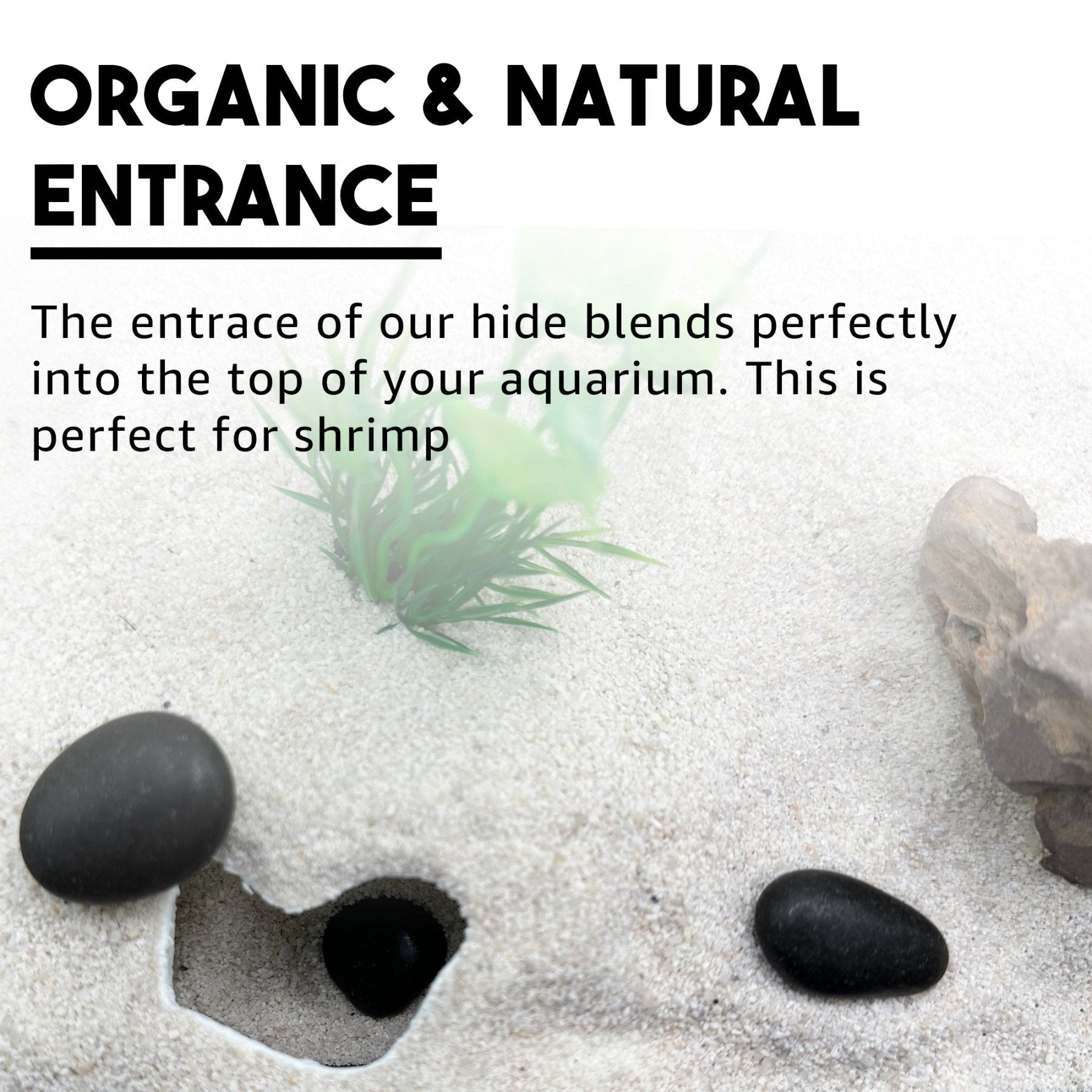 Organic Shrimp Tunnel Cave – Natural Hide - Wild Pet Supply