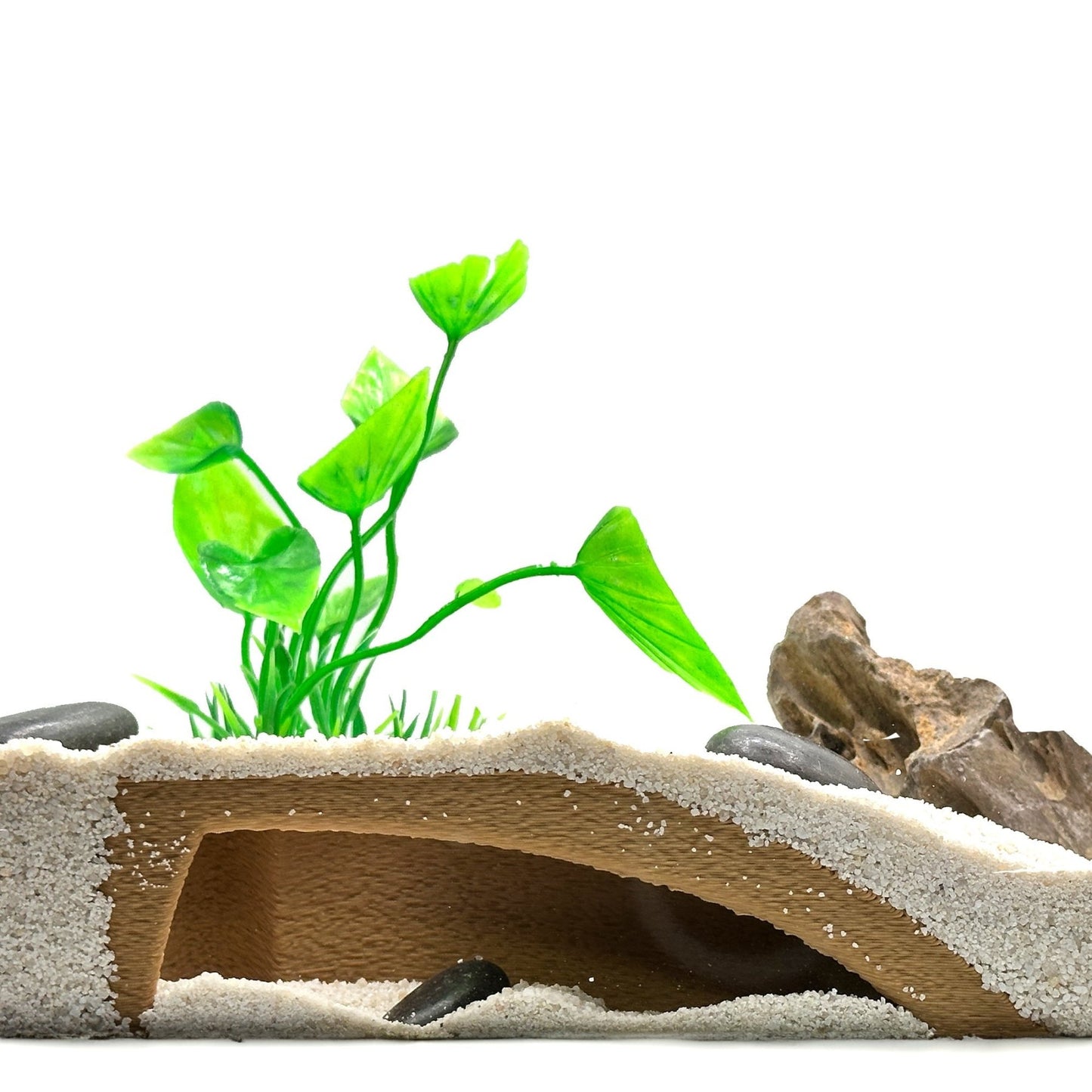 Organic Shrimp Tunnel Cave – Natural Hide - Wild Pet Supply