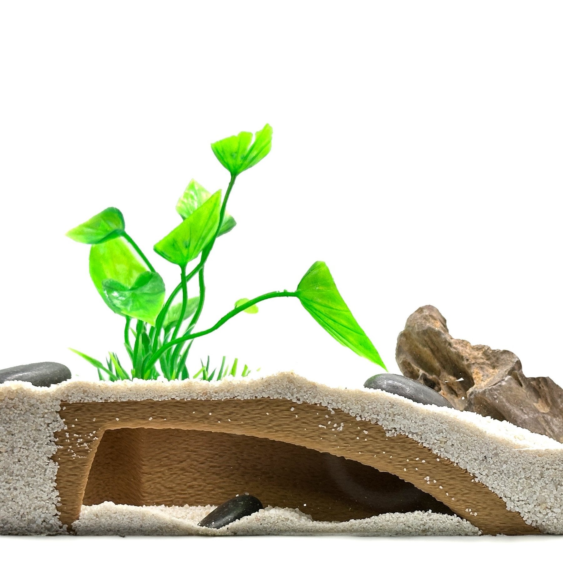 Organic Shrimp Tunnel Cave – Natural Hide - Wild Pet Supply