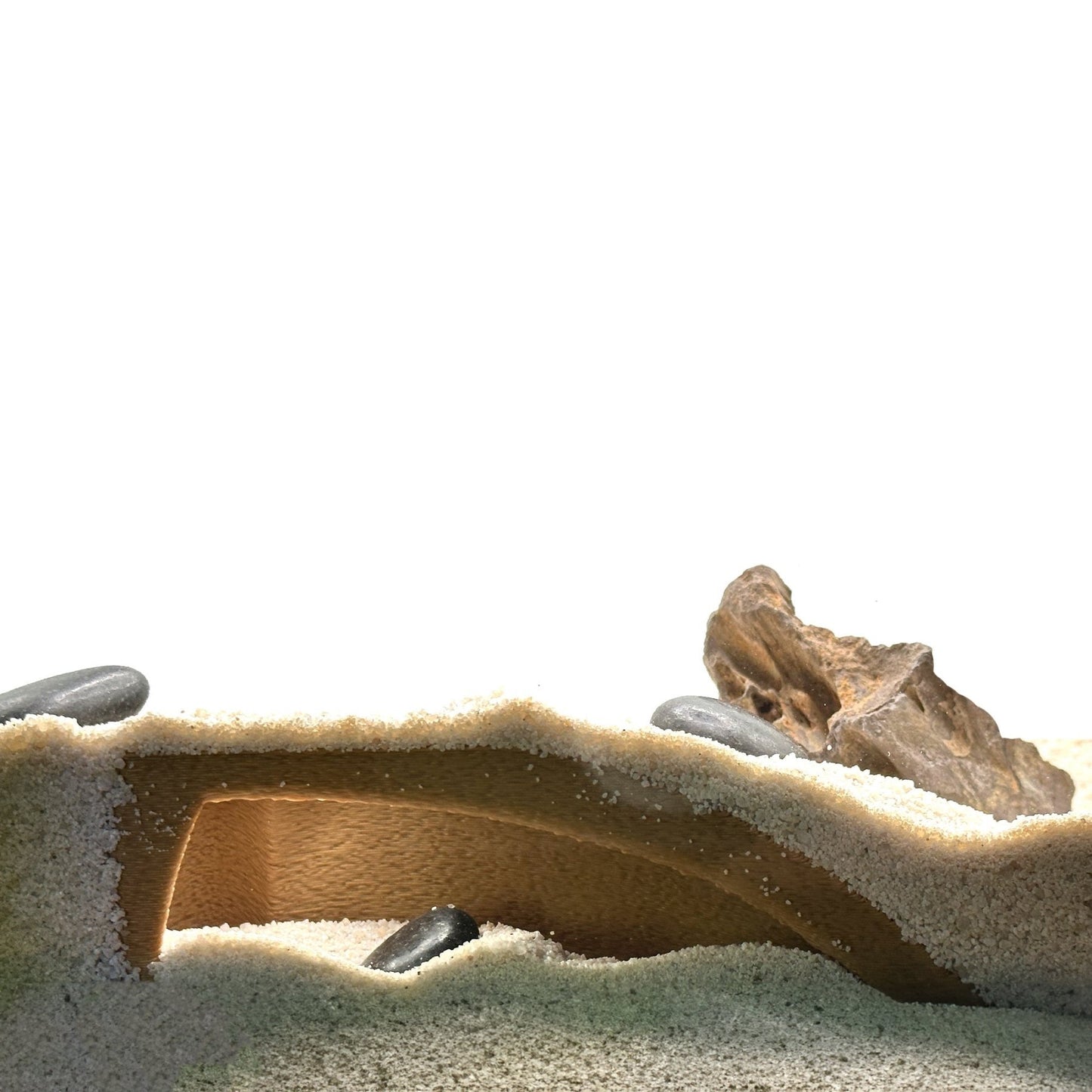Organic Shrimp Tunnel Cave – Natural Hide - Wild Pet Supply