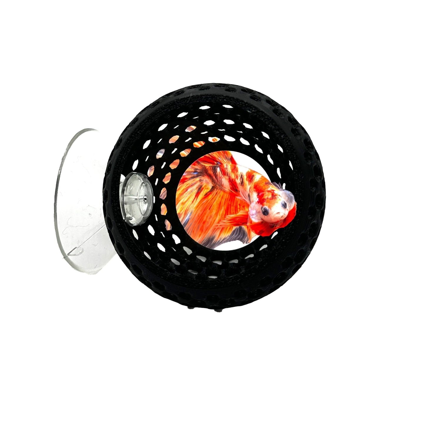 Original Betta Bulb Hide – Suction Cup Cave - Wild Pet Supply