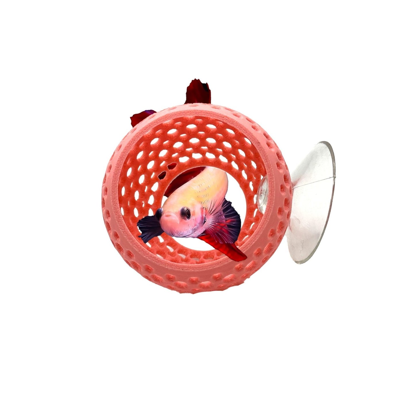 Original Betta Bulb Hide – Suction Cup Cave - Wild Pet Supply