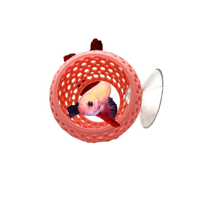 Original Betta Bulb Hide – Suction Cup Cave - Wild Pet Supply