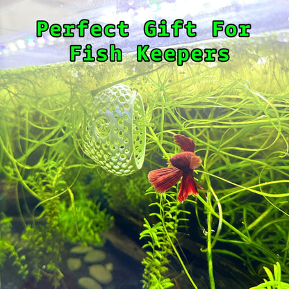Original Betta Bulb Hide – Suction Cup Cave - Wild Pet Supply