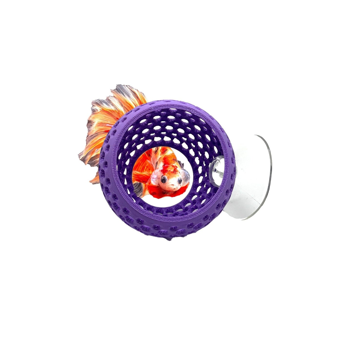 Original Betta Bulb Hide – Suction Cup Cave - Wild Pet Supply