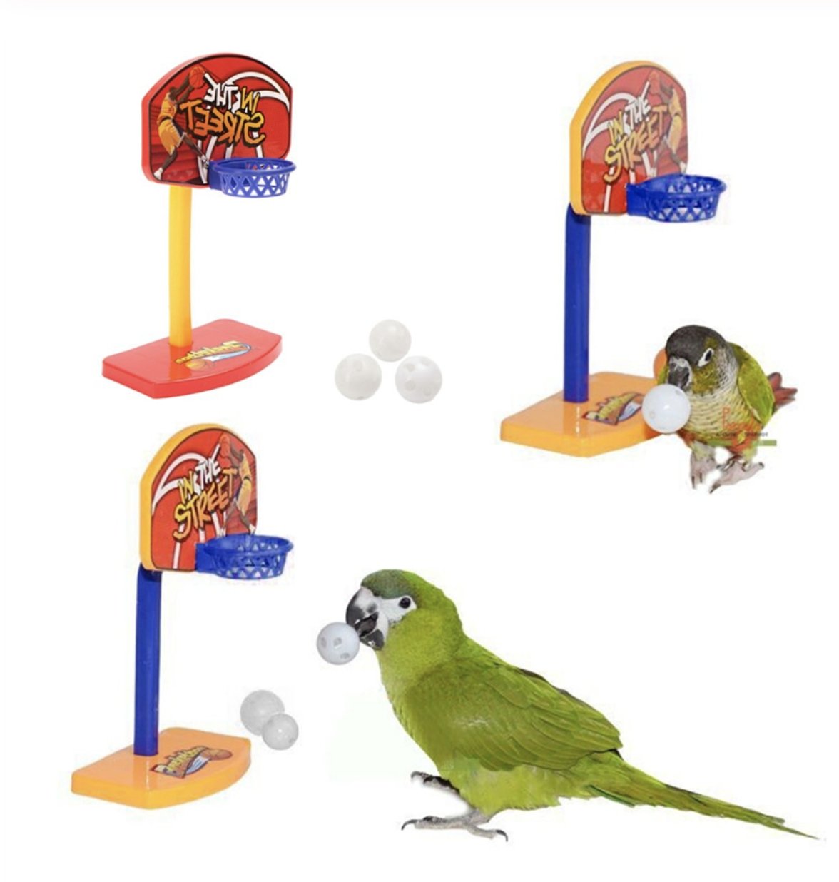 Parrot Training Basket Ball Toy - Wild Pet Supply