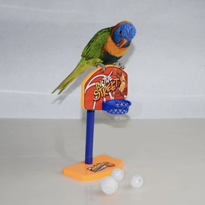 Parrot Training Basket Ball Toy - Wild Pet Supply