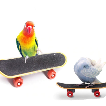 Parrot Training Skate Board Toy - Wild Pet Supply