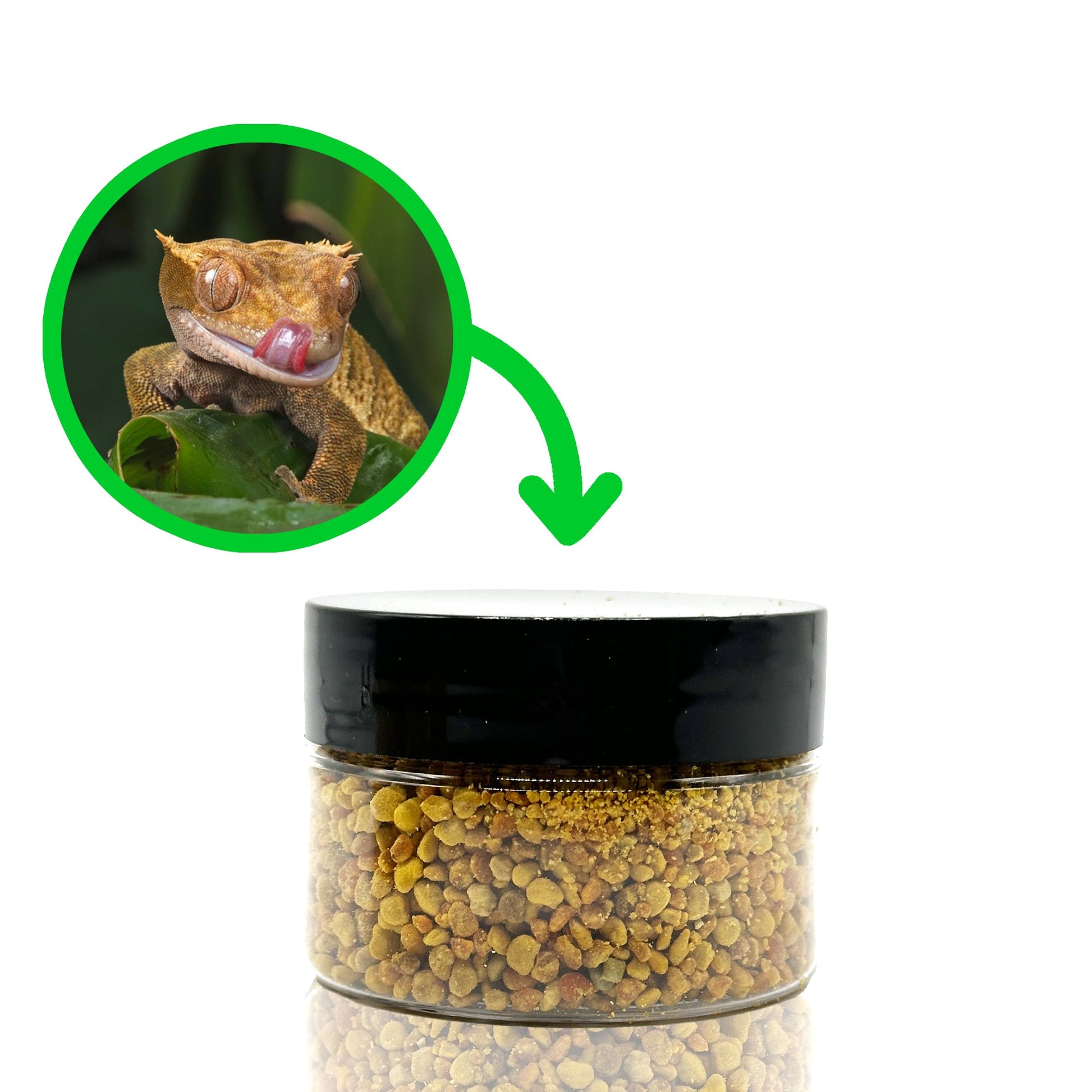 Premium Pollen Nuggets | Crested Gecko, Shrimp, Isopod Food Treats | 100% Pollen Nuggets Reusable Jar 1oz - Wild Pet Supply
