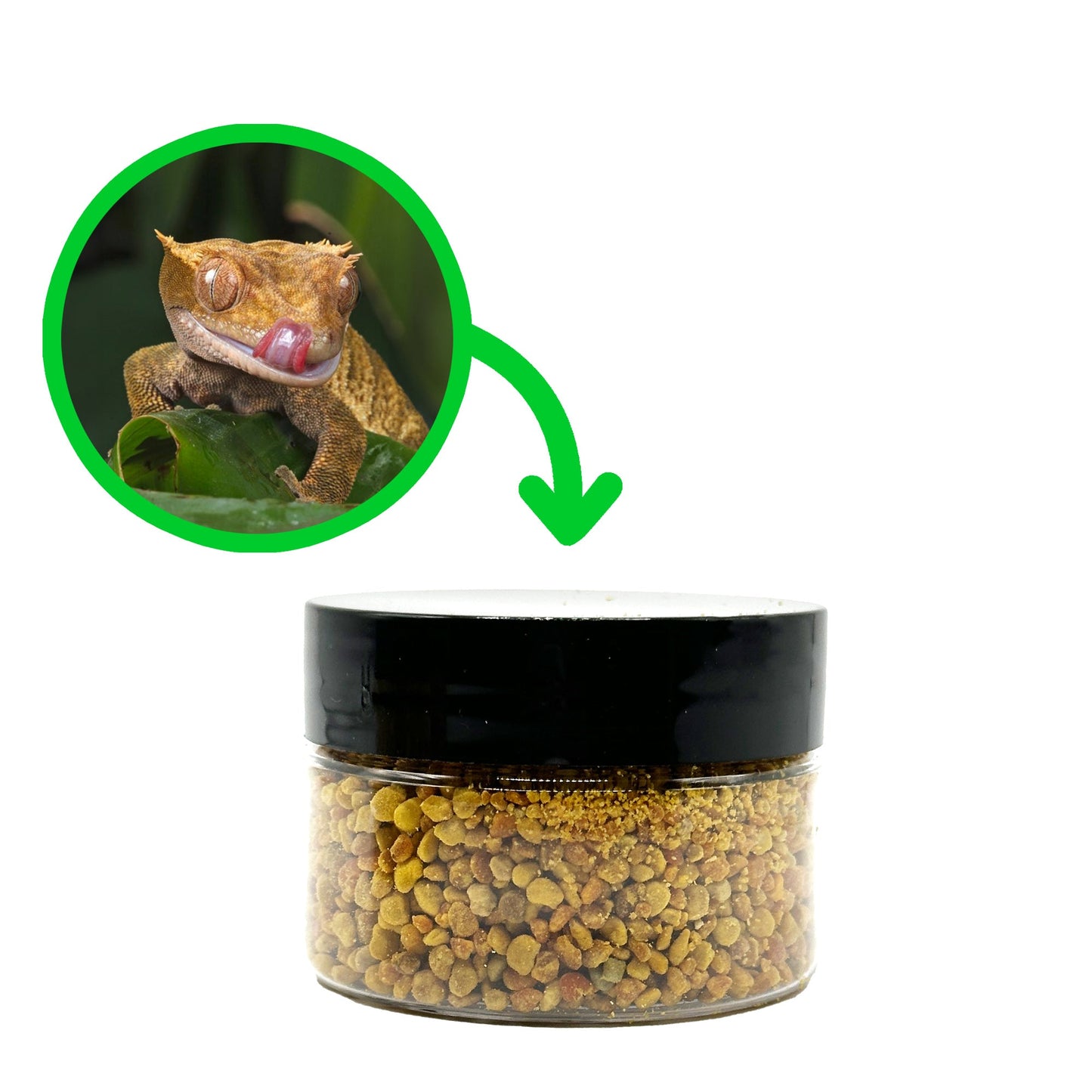 Premium Pollen Nuggets | Crested Gecko, Shrimp, Isopod Food Treats | 100% Pollen Nuggets Reusable Jar 1oz - Wild Pet Supply