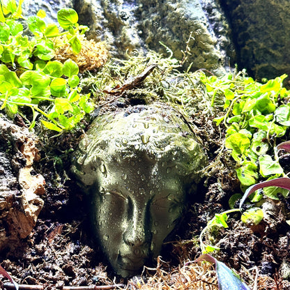 Premium Terrarium Face Statue Decor | Reptile Terrarium Decor - Wild Pet Supply