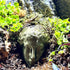 Premium Terrarium Face Statue Decor | Reptile Terrarium Decor - Wild Pet Supply