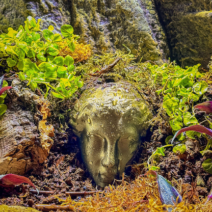 Premium Terrarium Face Statue Decor | Reptile Terrarium Decor - Wild Pet Supply
