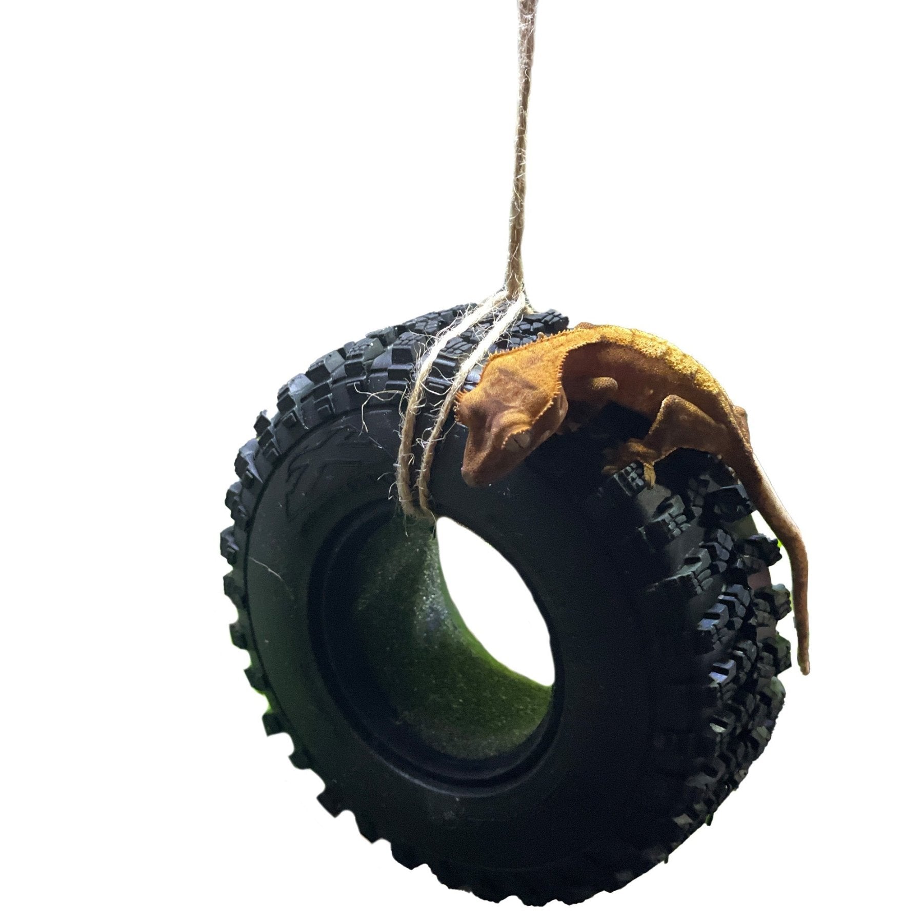Reptile Tire Swing – Hanging Terrarium Decor - Wild Pet Supply