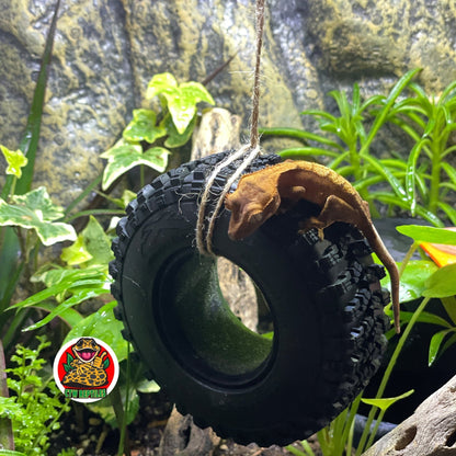 Reptile Tire Swing – Hanging Terrarium Decor - Wild Pet Supply