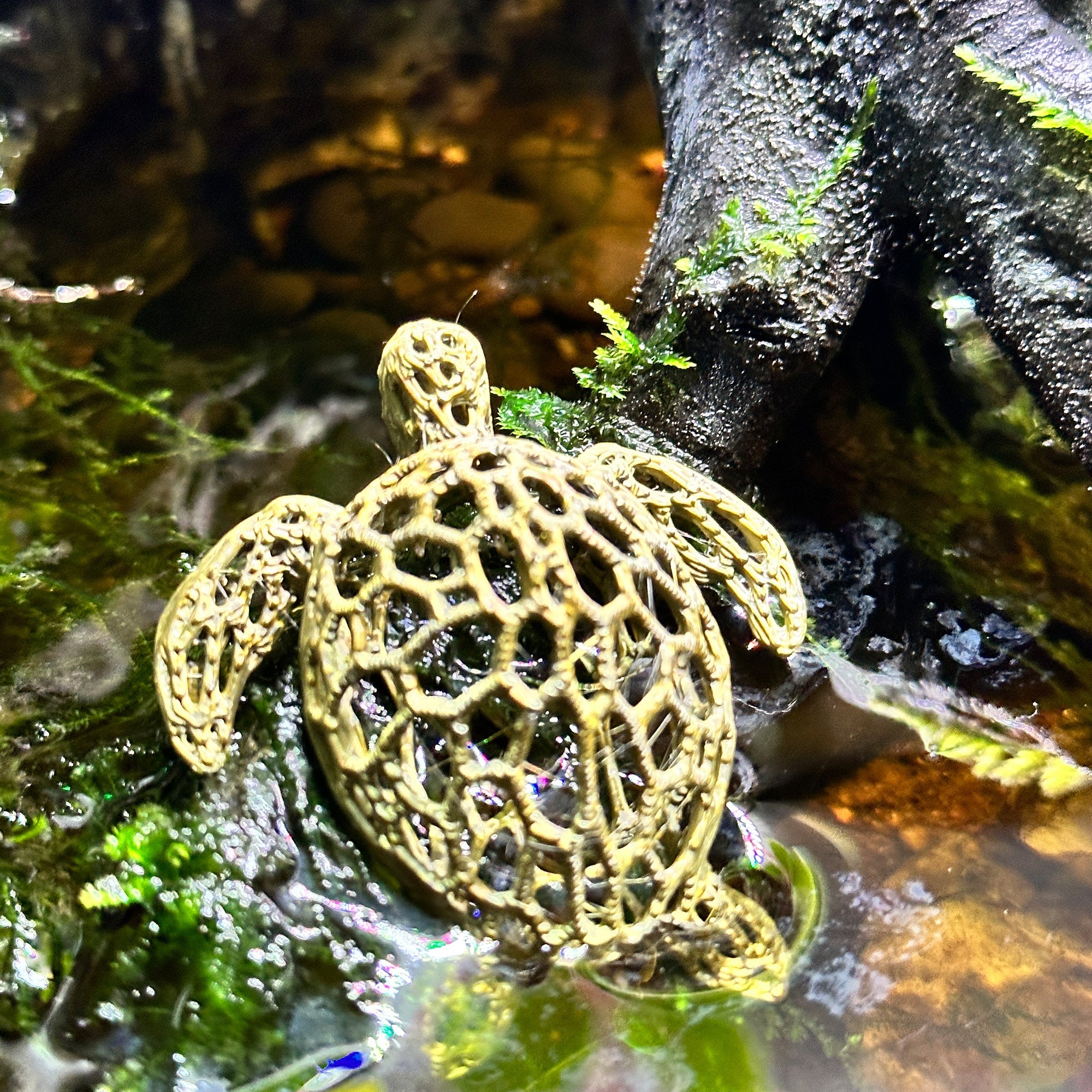 Sea Turtle Aquarium & Terrarium Decor | Nano Shrimp Hide | Fish Tank Decor Turtle - Wild Pet Supply