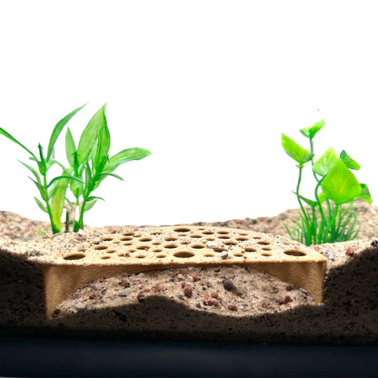 Shrimp Breeding Protector – Colony Cave - Wild Pet Supply