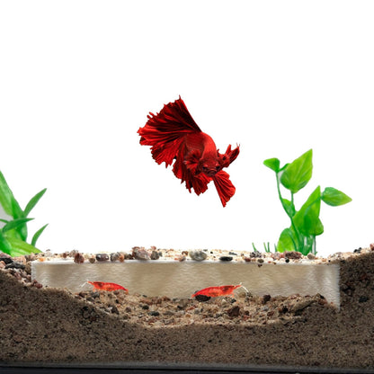 Shrimp Breeding Protector – Colony Cave - Wild Pet Supply