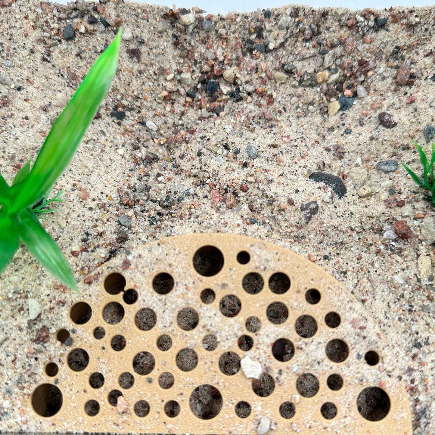 Shrimp Breeding Protector – Colony Cave - Wild Pet Supply