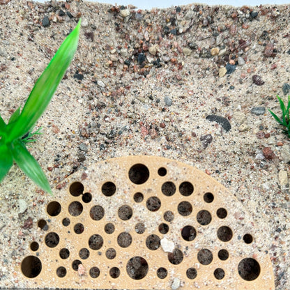 Shrimp Breeding Protector – Colony Cave - Wild Pet Supply
