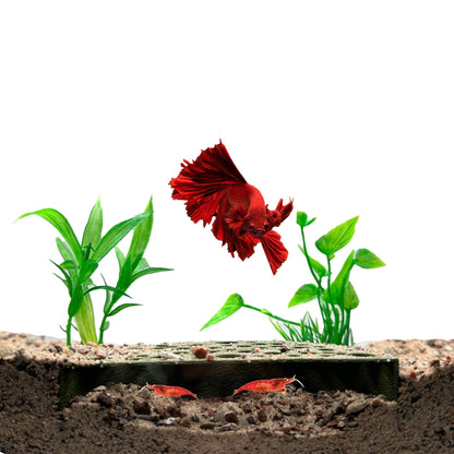 Shrimp Breeding Protector – Colony Cave - Wild Pet Supply