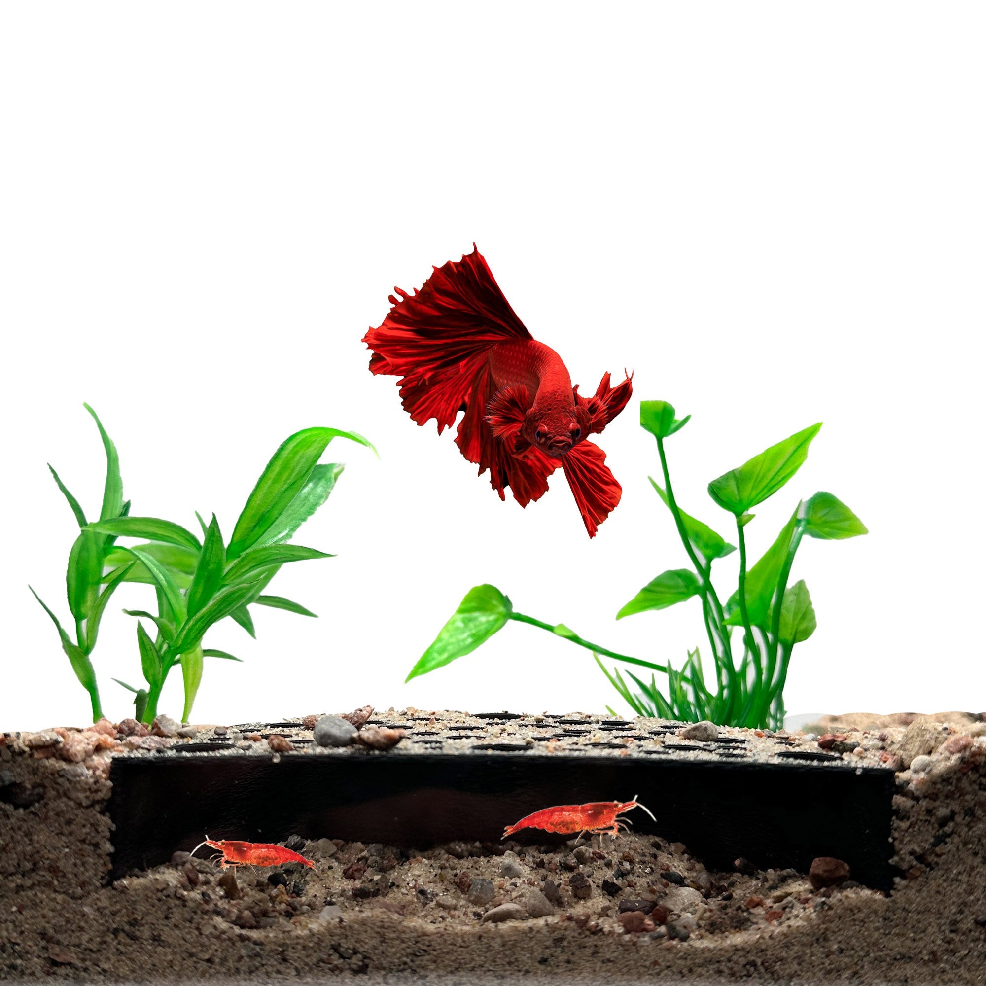 Shrimp Breeding Protector | Shrimp Breeding Cave Aquarium Tunnel - Wild Pet Supply