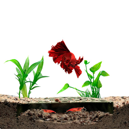 Shrimp Breeding Protector | Shrimp Breeding Cave Aquarium Tunnel - Wild Pet Supply