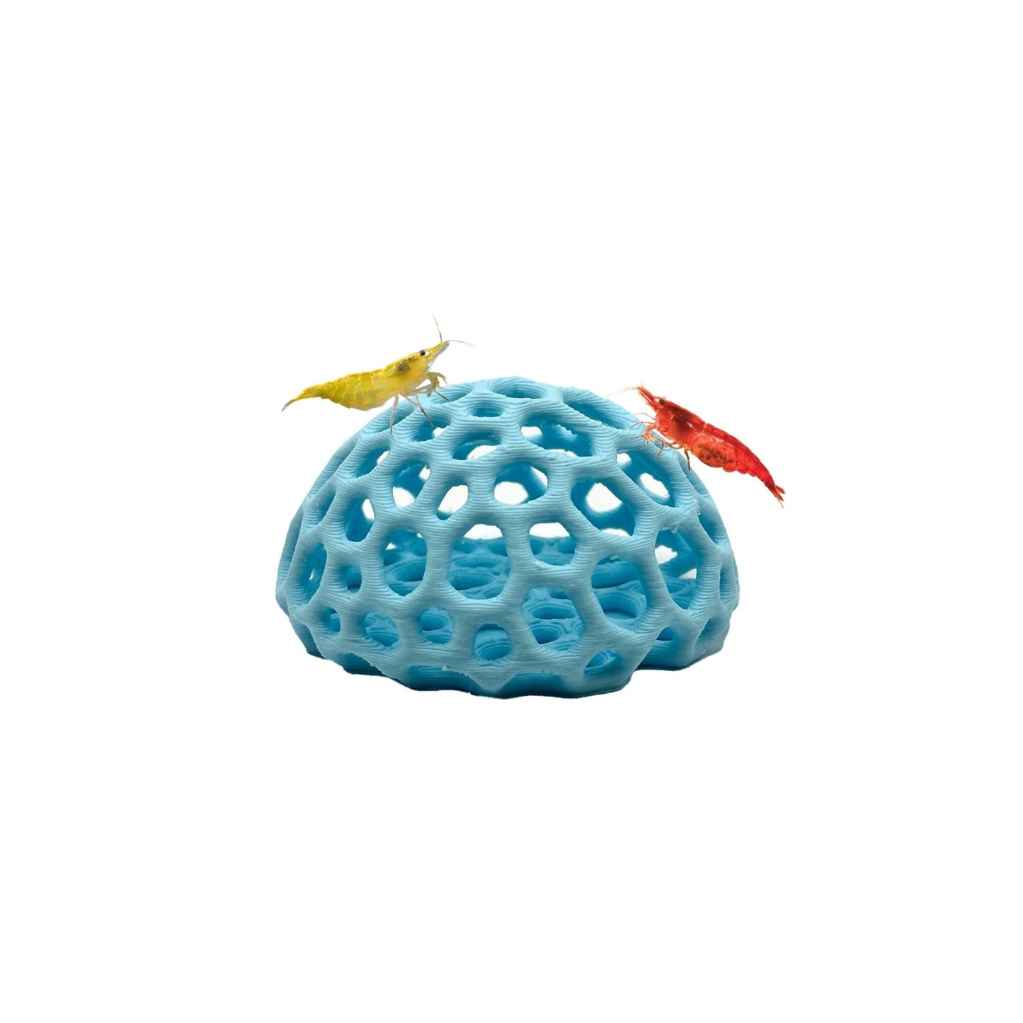 Shrimp Dome Hide – Colorful Aquarium Cave - Wild Pet Supply