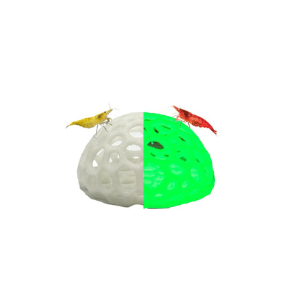 Shrimp Dome Hide – Colorful Aquarium Cave - Wild Pet Supply